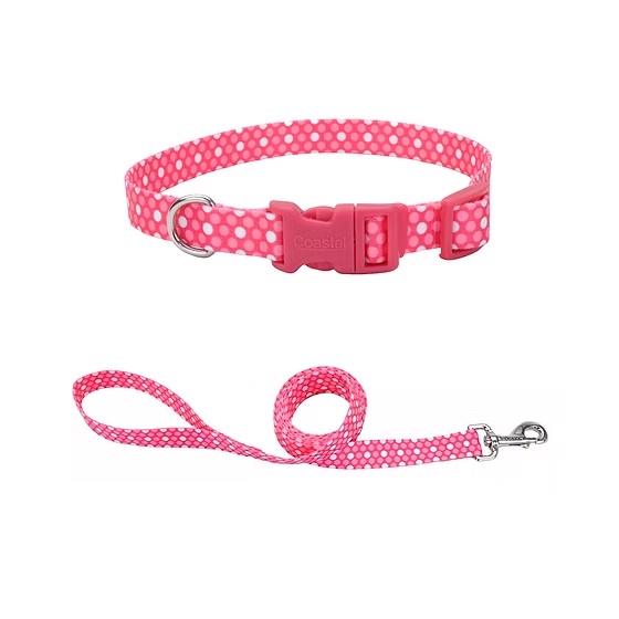 ACC-025 COLLAR Y TIRAPERRO PET ATTIRE – ROSA PUNTOS - Imagen 1