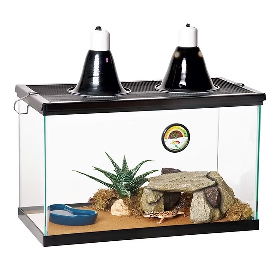 ACCR-015.1 DESERT STARTER KIT ZILLA - Imagen 1