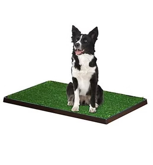HIG-013.1 WEE-WEE PATCH – GRAMA ARTIFICIAL PARA PERRO - Imagen 1