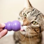 KITTY KONG® - Imagen 2