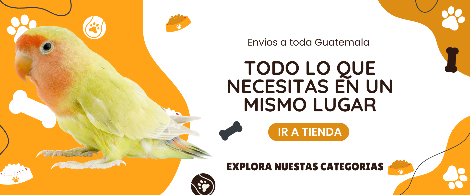 Copia de PET SHOP